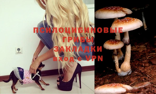 бутик Белокуриха
