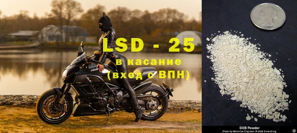 шишки Балахна