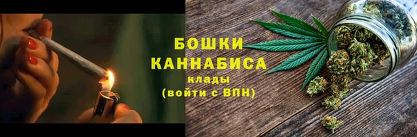 шишки Балахна