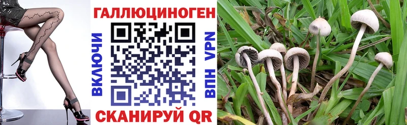 Галлюциногенные грибы GOLDEN TEACHER  Невель 